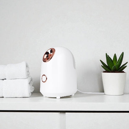 LunorLab Nano Ion Facial Steamer